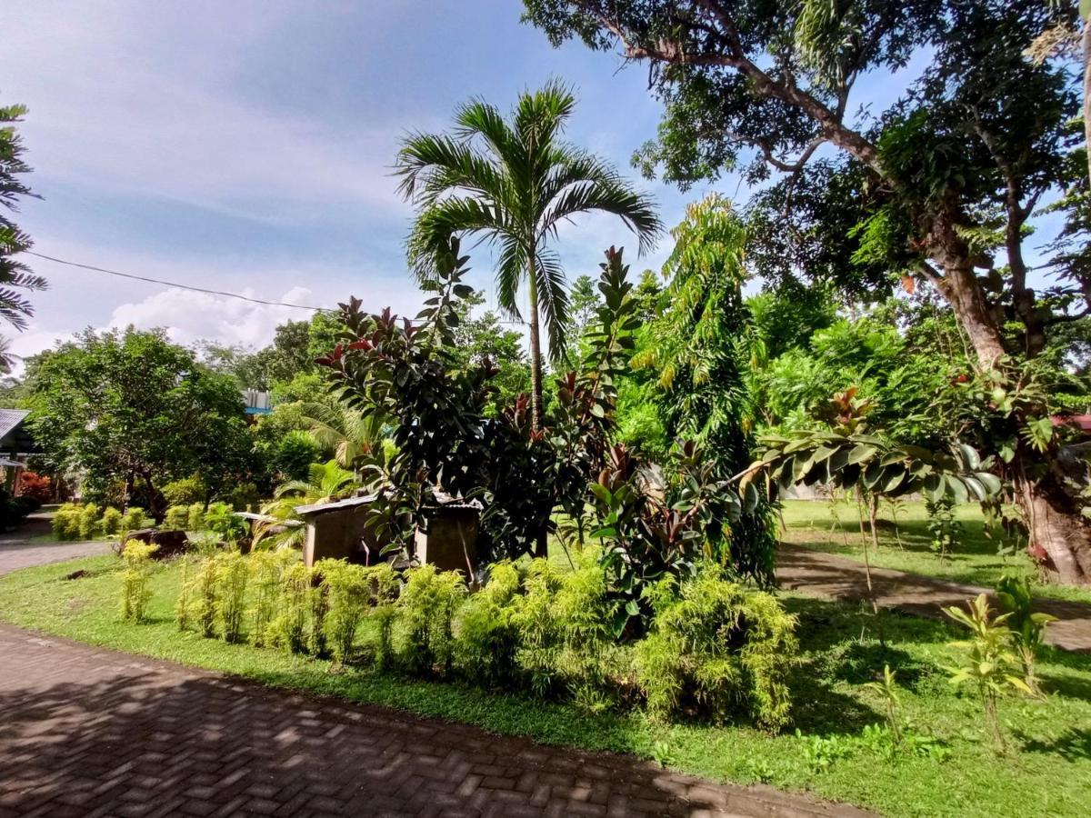 Tangkoko Lodge Bitung Bagian luar foto